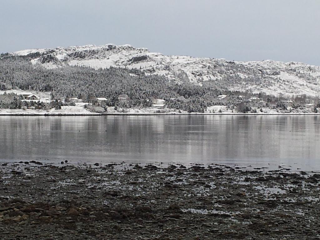 The Spaniards Room Heritage Home Spaniards Bay Exteriör bild