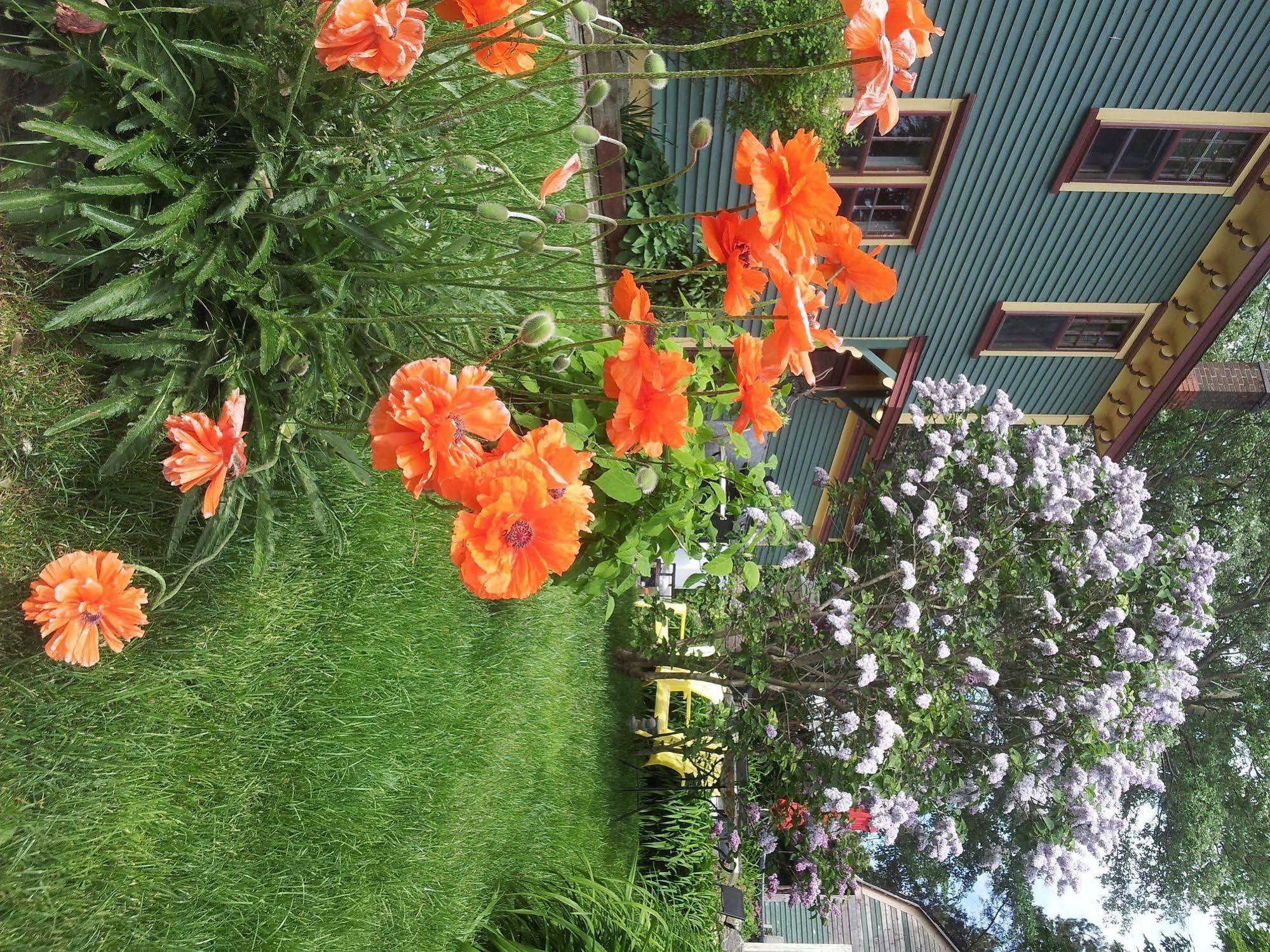 The Spaniards Room Heritage Home Spaniards Bay Exteriör bild